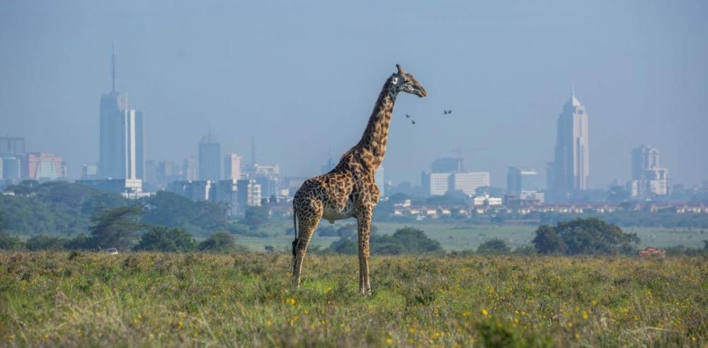 Quelles sont les conditions pour entrer au Kenya ?